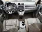 2009 HONDA CR-V