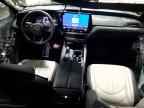 2025 LEXUS TX 350