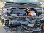 2025 KIA Carnival