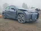 2025 LEXUS UX 300H