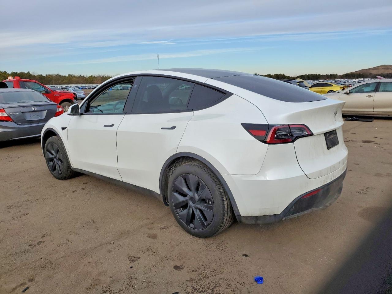 2024 TESLA MODEL Y