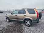 2004 HONDA CR-V