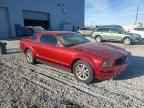 2005 FORD MUSTANG