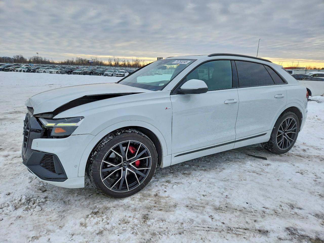 2019 AUDI Q8