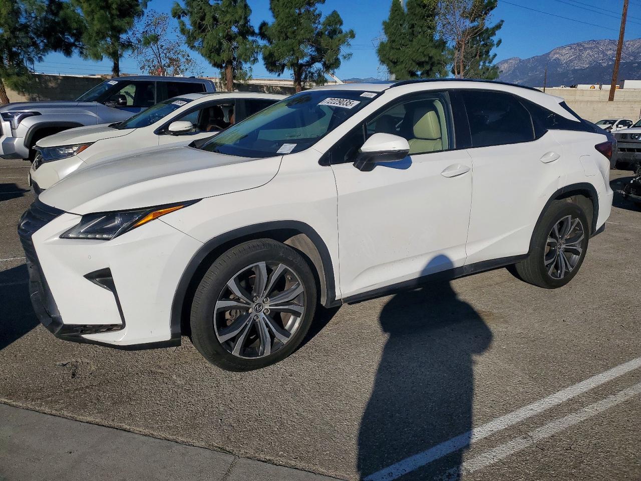 2019 LEXUS RX 350