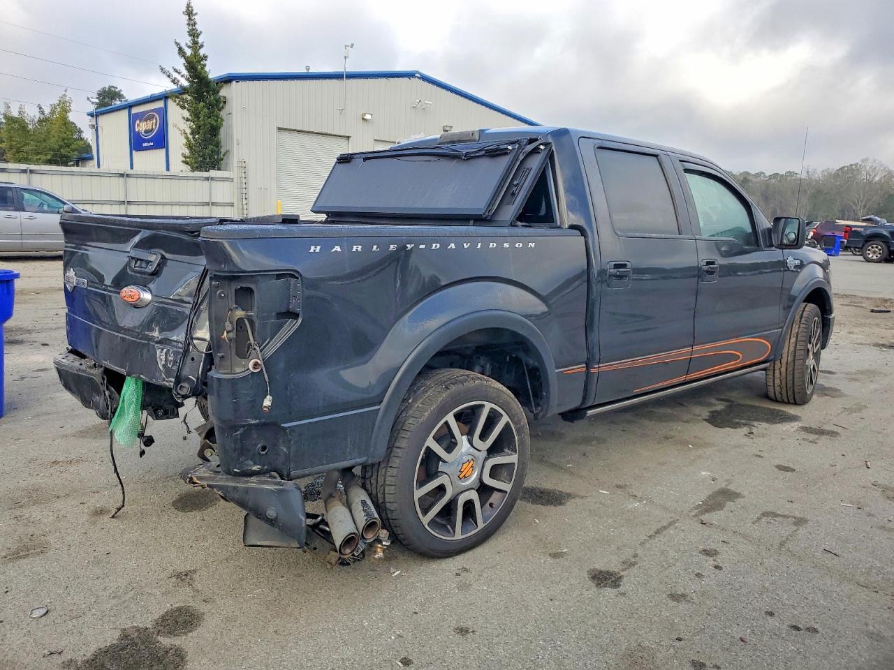 2010 FORD F-150