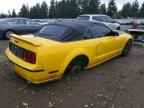 2006 FORD MUSTANG