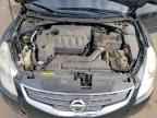 2010 NISSAN ALTIMA