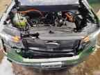 2025 FORD Maverick