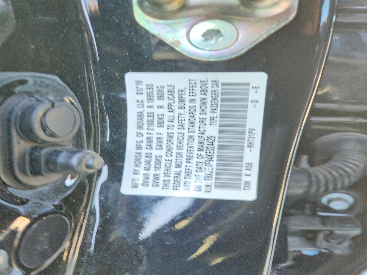 2019 HONDA Insight