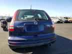 2010 HONDA CR-V