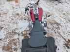 2006 HARLEY-DAVIDSON Flstfi