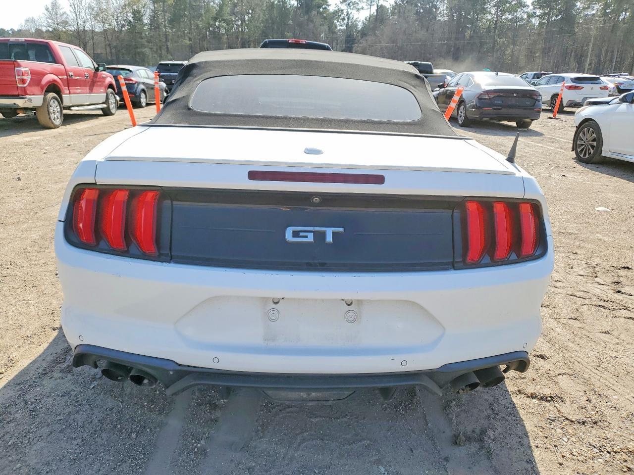 2019 FORD MUSTANG