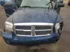 2006 DODGE Dakota
