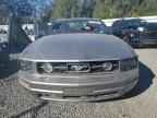 2008 FORD MUSTANG