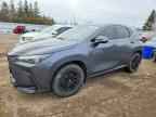 2024 LEXUS NX 350H