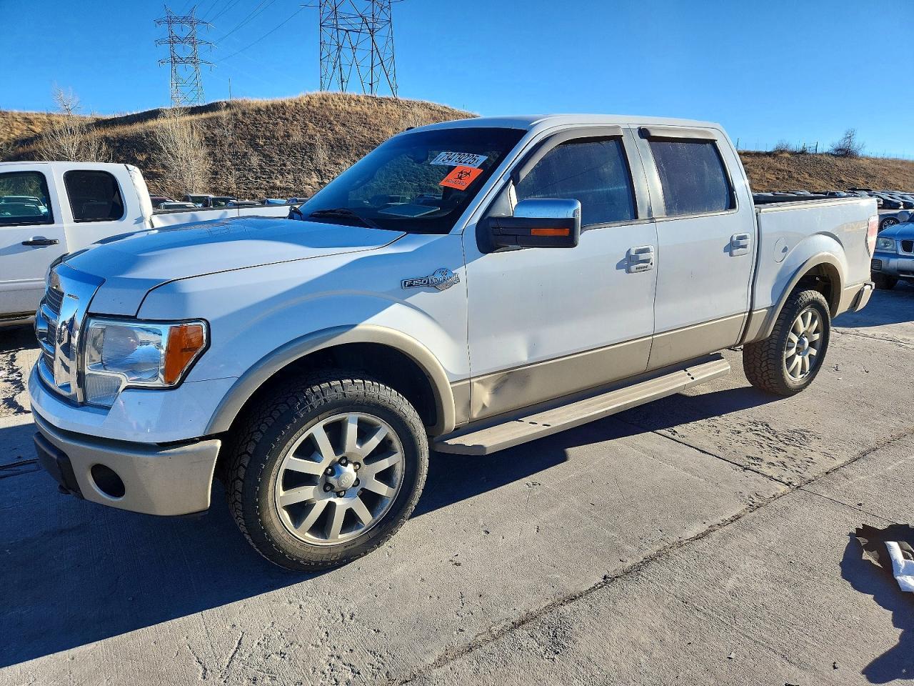 2010 FORD F-150