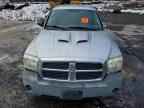 2005 DODGE Dakota