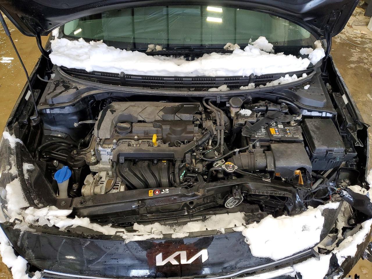2023 KIA RIO