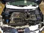2023 KIA RIO