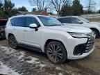 2023 LEXUS LX 600