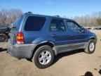 2006 FORD ESCAPE