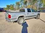 2008 DODGE Dakota