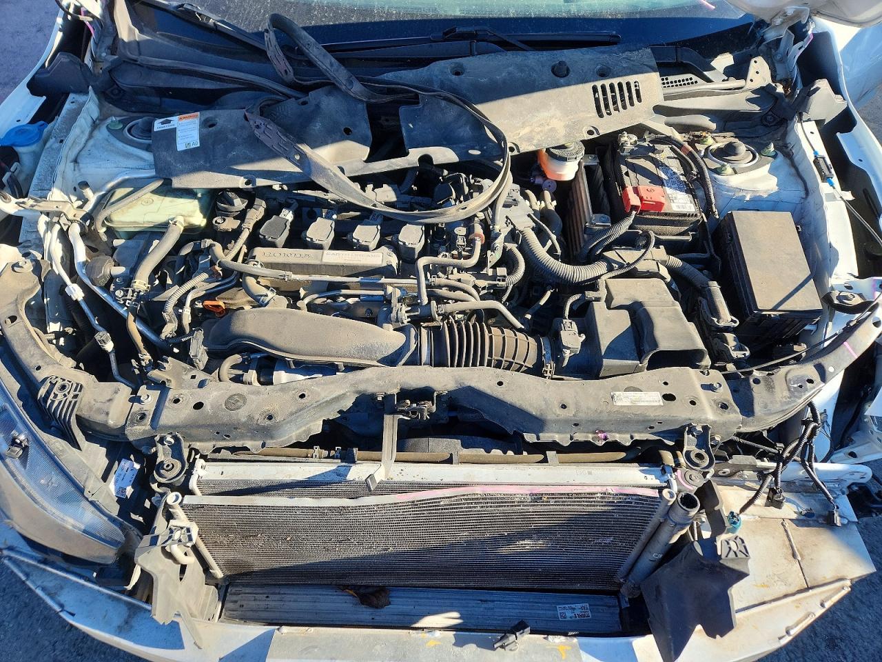 2019 HONDA CIVIC