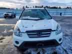 2006 HONDA CR-V