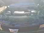 2024 CADILLAC ESCALADE