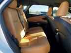2025 LEXUS RX 350
