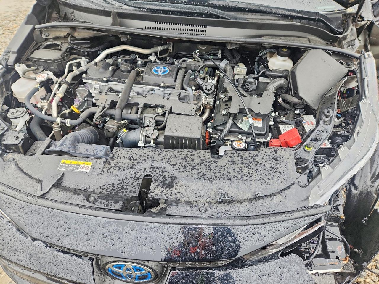 2023 TOYOTA COROLLA