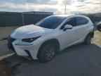 2020 LEXUS NX 300