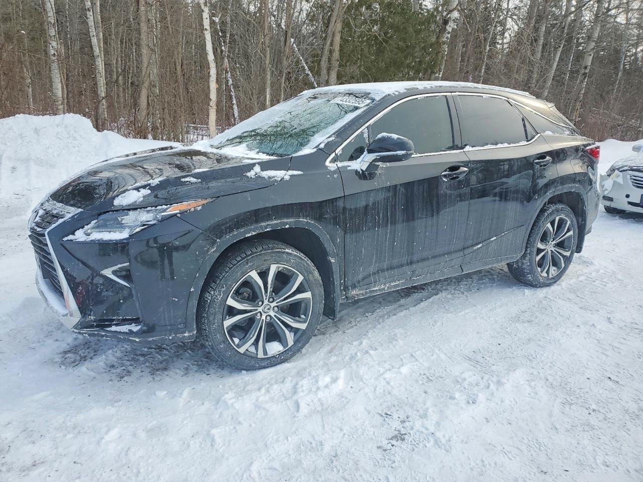2019 LEXUS RX 350