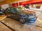 2004 TOYOTA Avalon