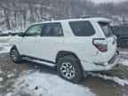 2024 TOYOTA 4Runner