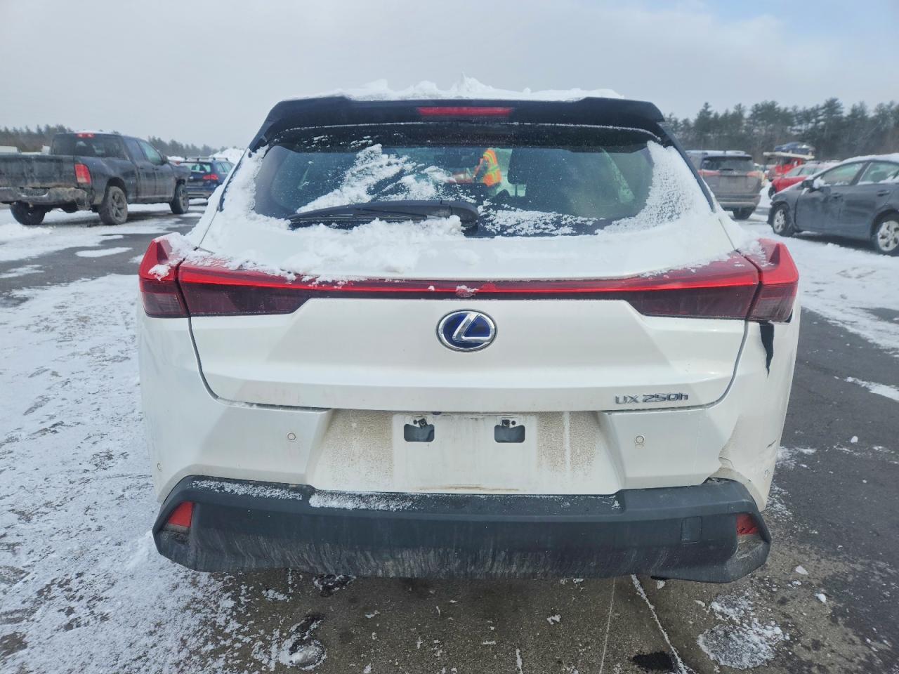2021 LEXUS UX 250H