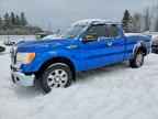 2009 FORD F-150