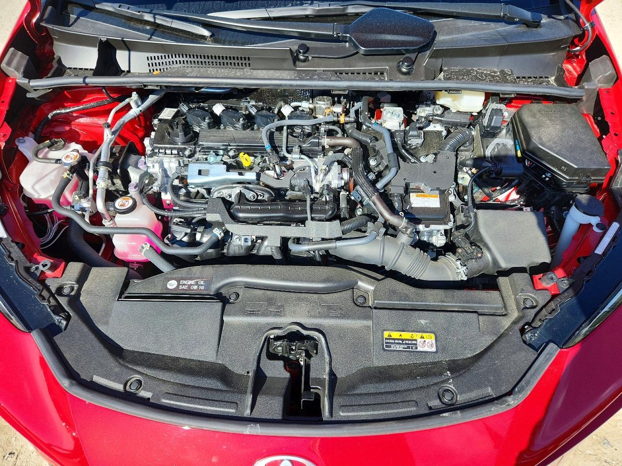 2024 TOYOTA PRIUS