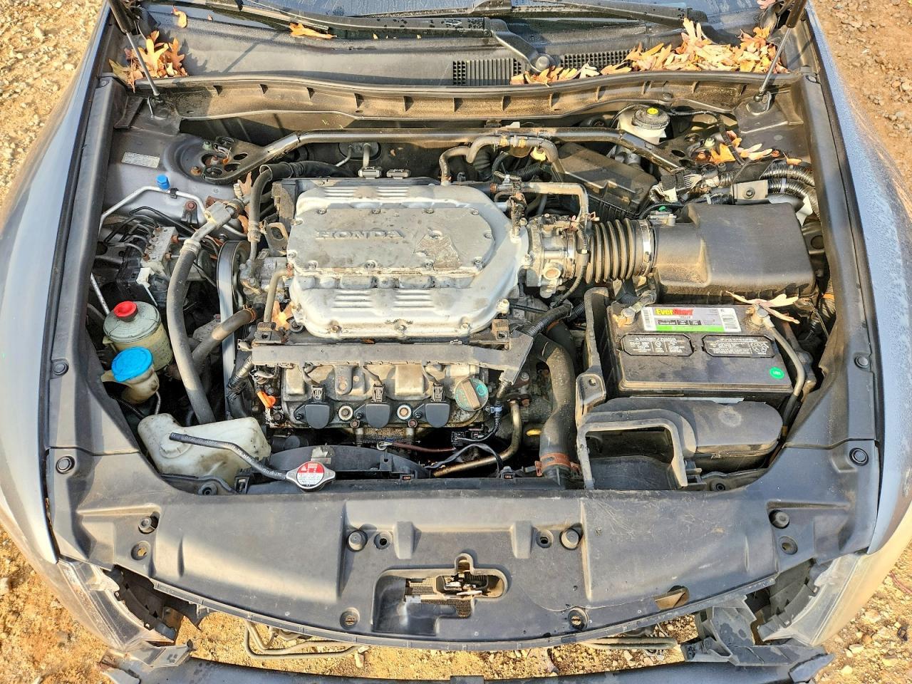 2010 HONDA ACCORD