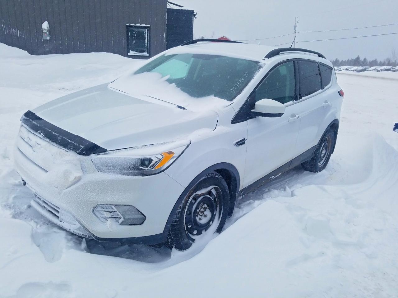 2019 FORD ESCAPE