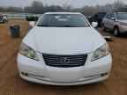 2023 LEXUS ES 350