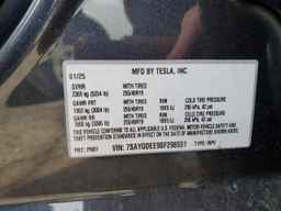 2025 TESLA MODEL Y