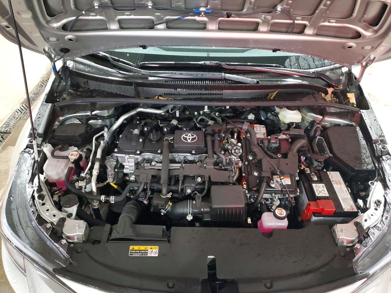 2025 TOYOTA COROLLA