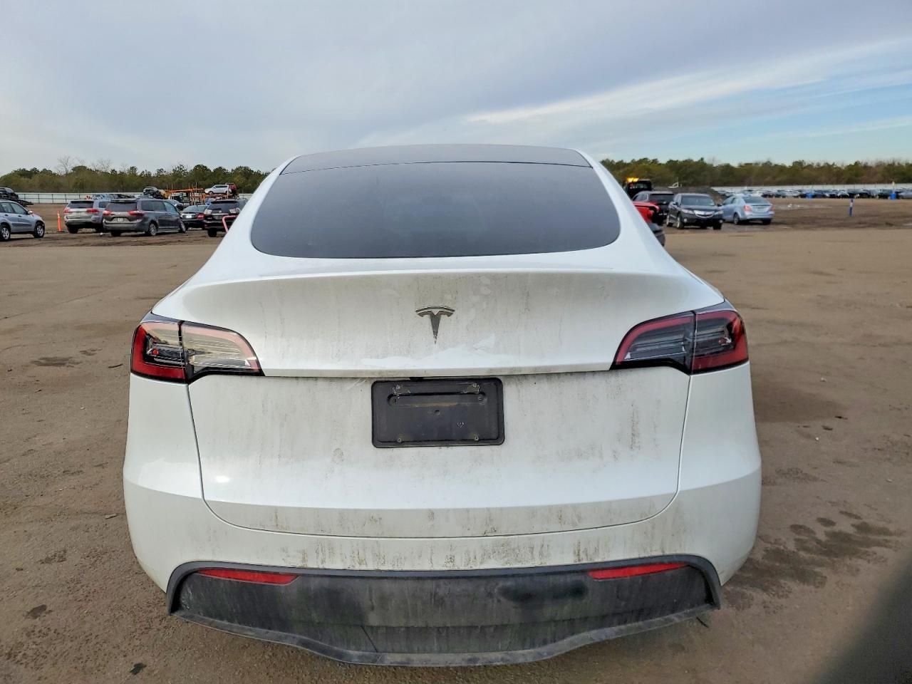 2024 TESLA MODEL Y