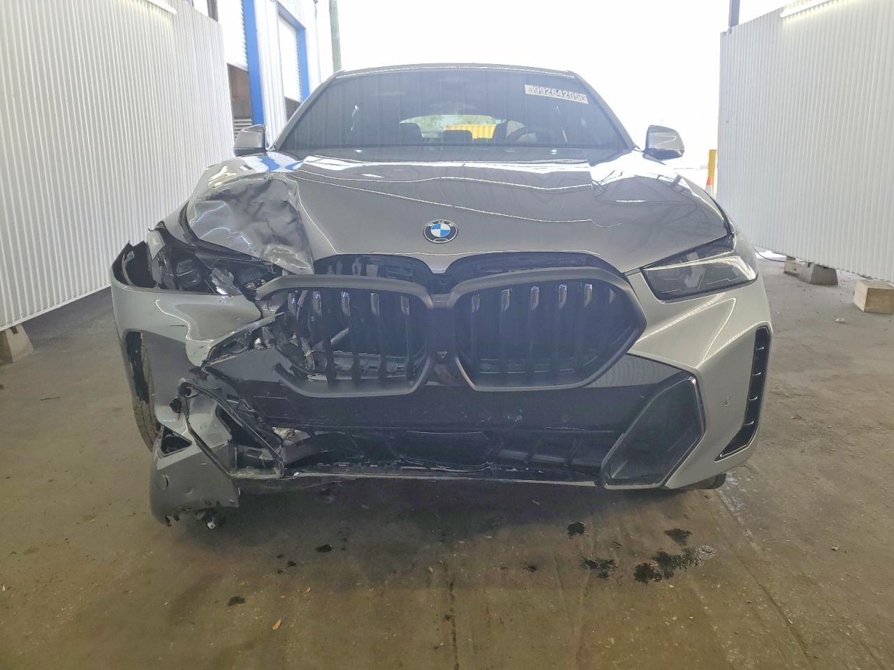 2026 BMW X6