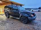 2001 NISSAN Xterra