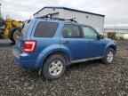 2009 FORD ESCAPE