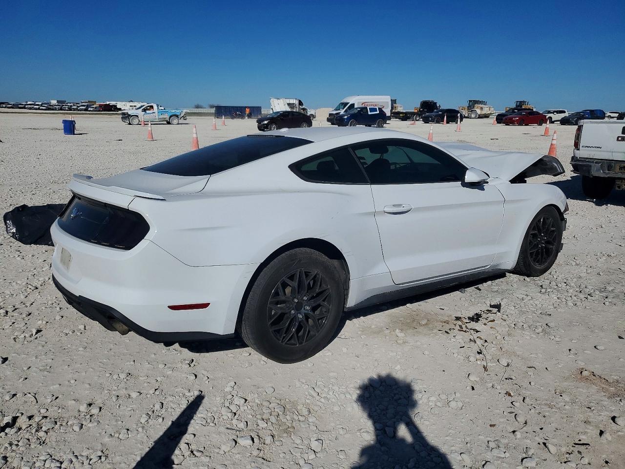 2019 FORD MUSTANG
