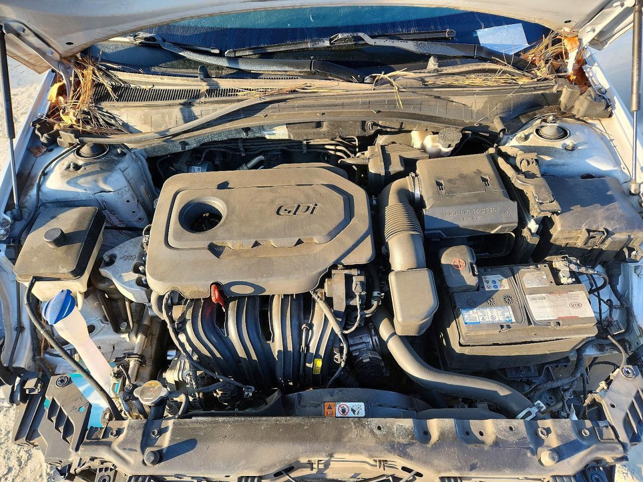 2019 KIA OPTIMA